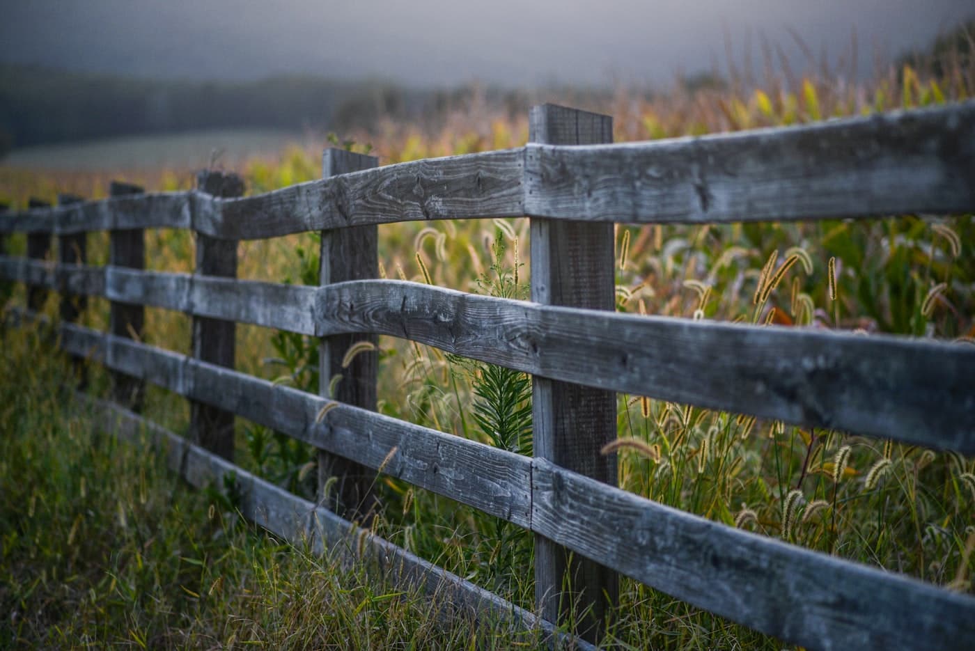 Fencing